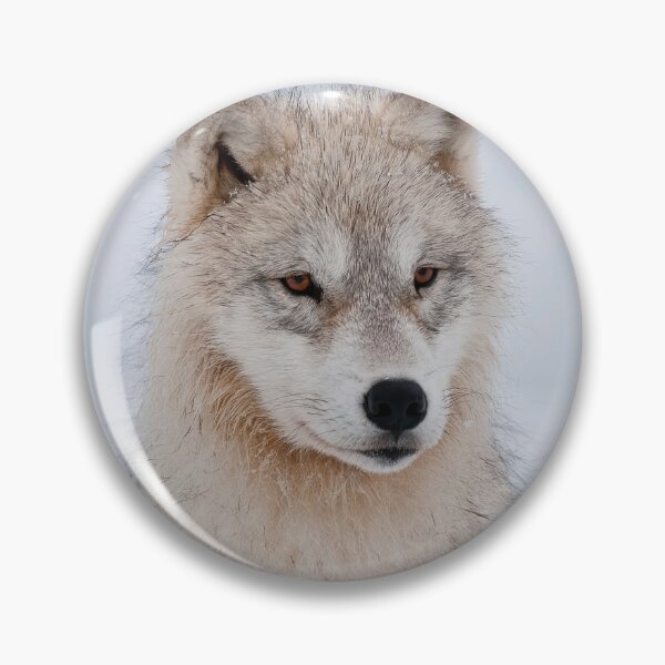 Artikelvorschau, arktischer Wolf entworfen und verkauft von WolvesOnly.