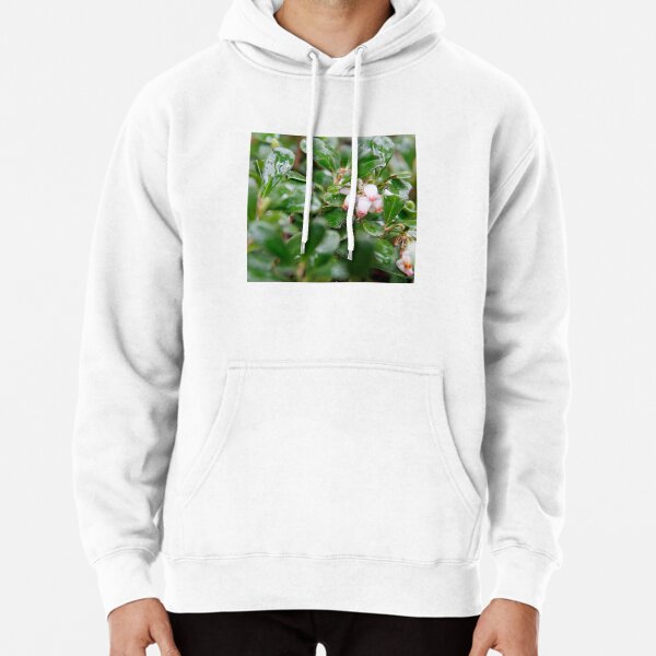 Rose clearance amour hoodie