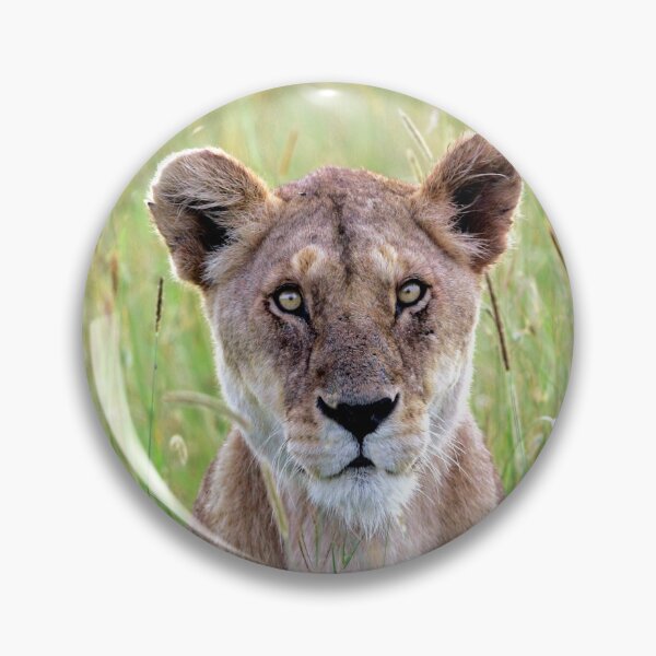 Item preview, Lioness in tall grass, Kenya designed and sold by DocSaunders.