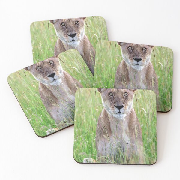 Item preview, Lioness in tall grass, Kenya designed and sold by DocSaunders.