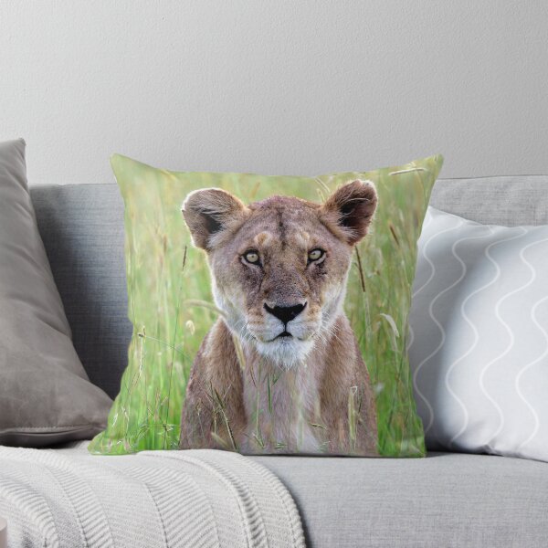 Item preview, Lioness in tall grass, Kenya designed and sold by DocSaunders.