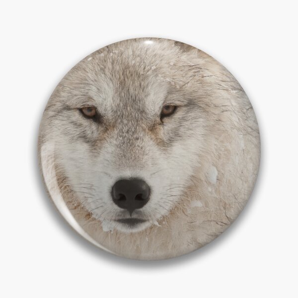Item preview, Arctic Wolf Pup designed and sold by WolvesOnly.