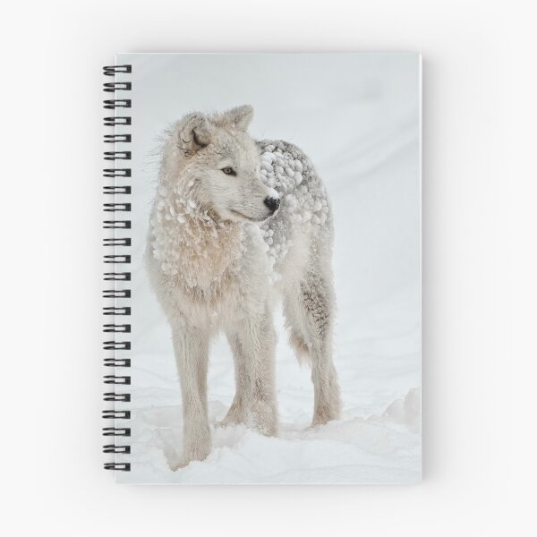 Item preview, Arctic Wolf designed and sold by WolvesOnly.