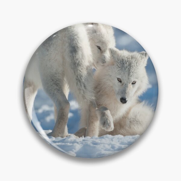 Item preview, Arctic Wolves designed and sold by WolvesOnly.