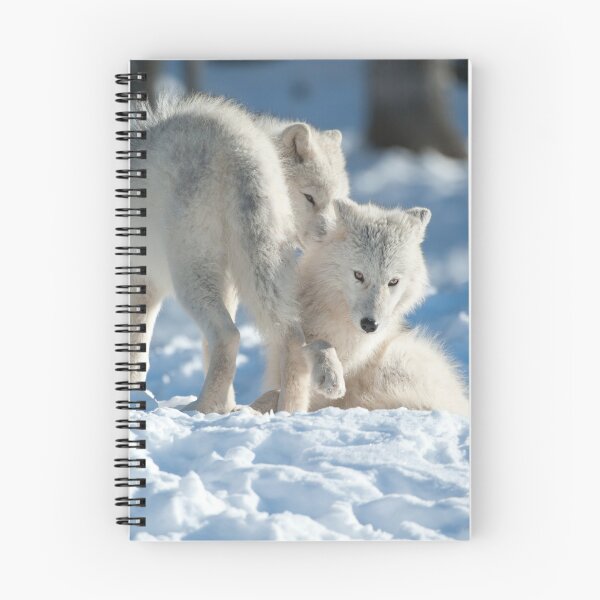Item preview, Arctic Wolves designed and sold by WolvesOnly.