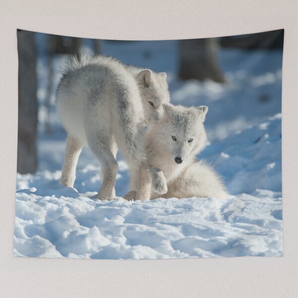 Item preview, Arctic Wolves designed and sold by WolvesOnly.