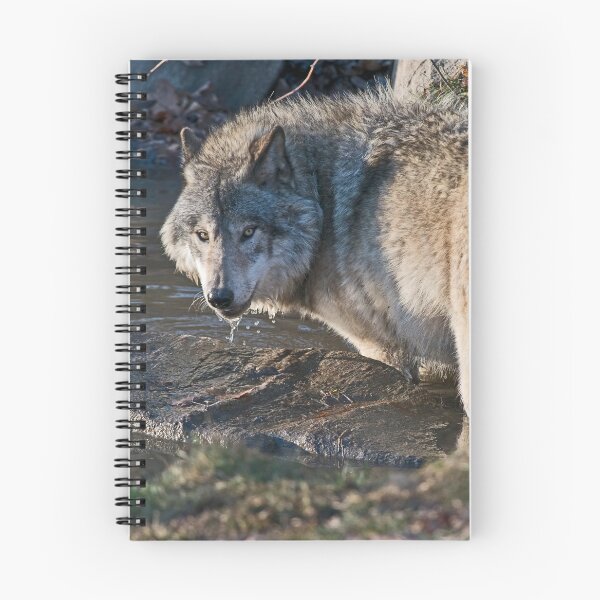 Artikelvorschau, Timber Wolf entworfen und verkauft von WolvesOnly.