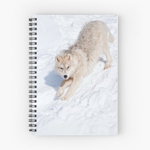 Item preview, Arctic Wolf Pup designed and sold by WolvesOnly.