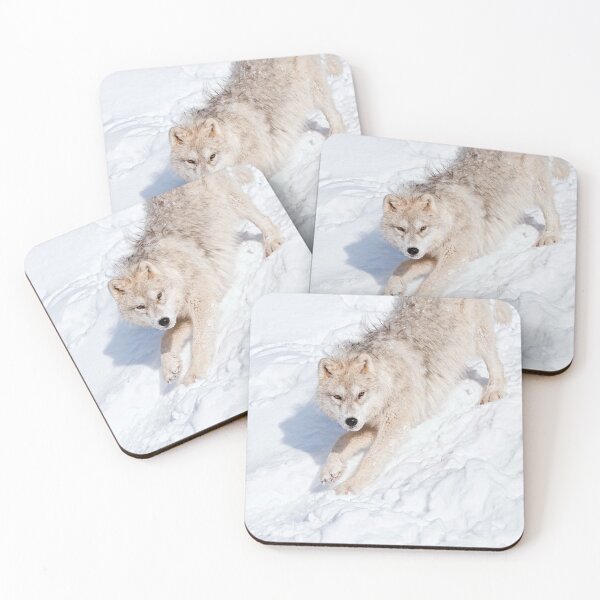 Artikelvorschau, Arctic Wolf Pup entworfen und verkauft von WolvesOnly.