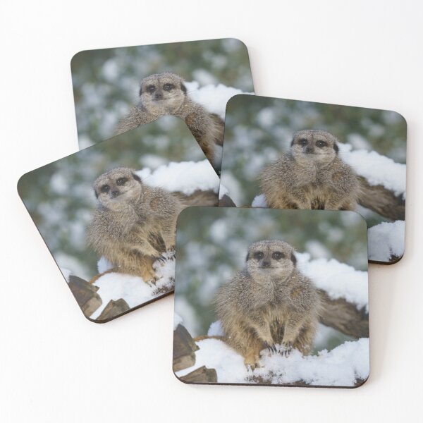 Item preview, Meerkat In The Snow designed and sold by rawshutterbug.