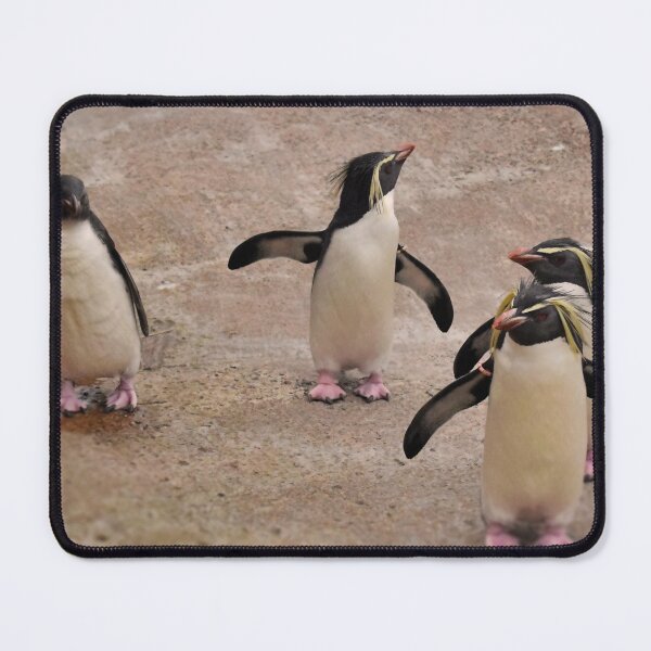 Item preview, Penguins Photography Edinburgh Zoo designed and sold by aloresarts.