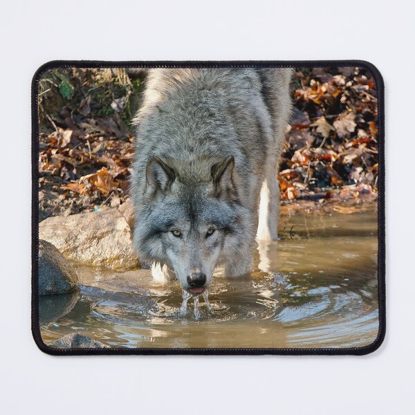 Item preview, Timber Wolf designed and sold by WolvesOnly.