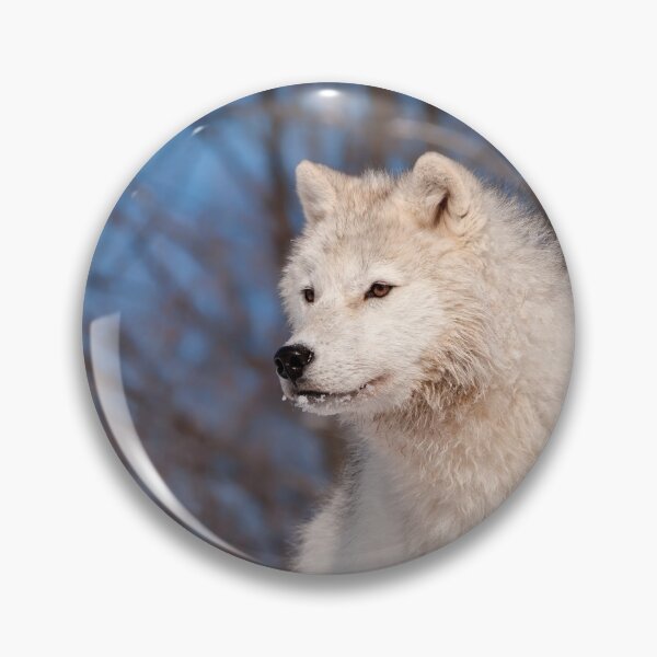 Item preview, Arctic Wolf Pup designed and sold by WolvesOnly.