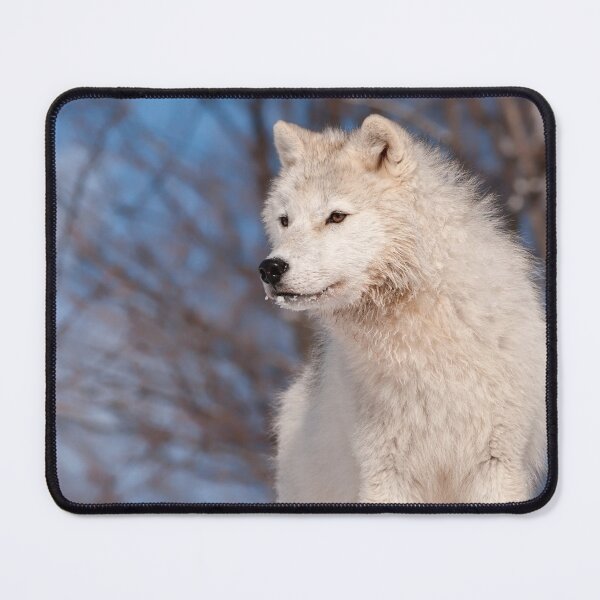 Item preview, Arctic Wolf Pup designed and sold by WolvesOnly.