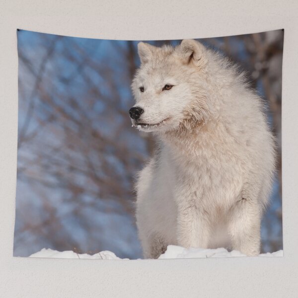 Item preview, Arctic Wolf Pup designed and sold by WolvesOnly.