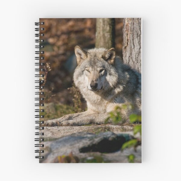Artikelvorschau, Timber Wolf entworfen und verkauft von WolvesOnly.