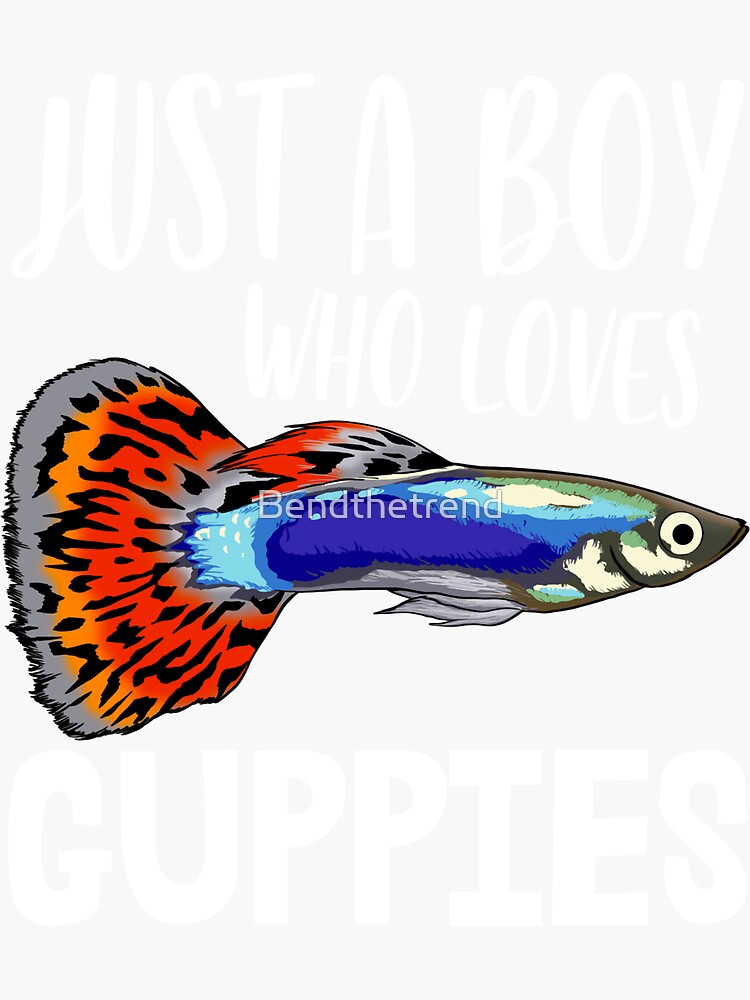 Just A Boy Who Loves Guppy Fish | Sticker