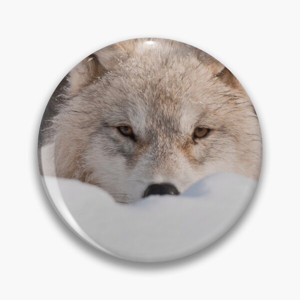 Item preview, Arctic Wolf Pup designed and sold by WolvesOnly.