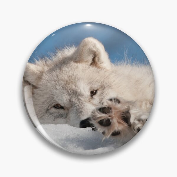 Item preview, Arctic Wolf Pup designed and sold by WolvesOnly.