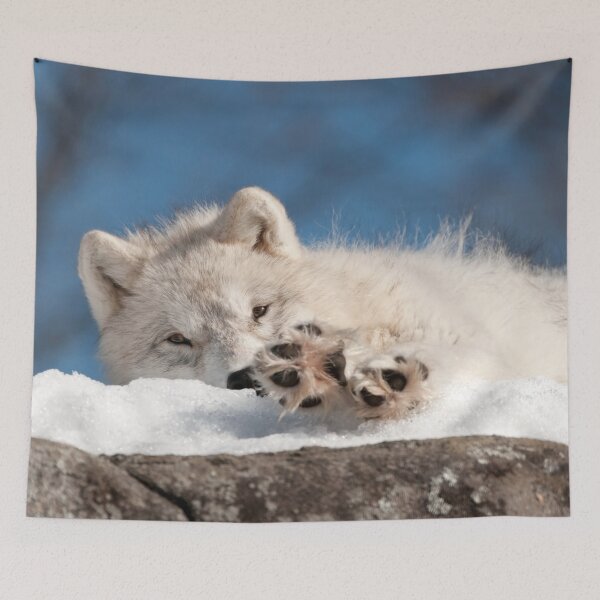 Item preview, Arctic Wolf Pup designed and sold by WolvesOnly.