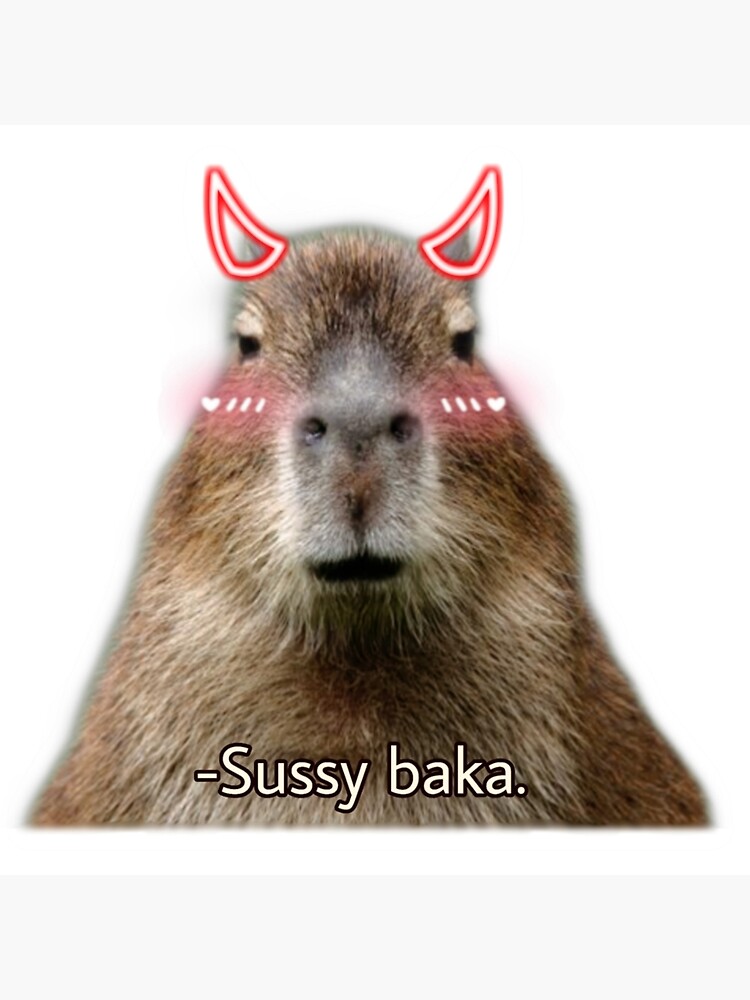 Funny And Cute Shy Capybara Saying Sussy Baka Poster For Sale By Dheyna Redbubble