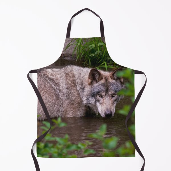 Artikelvorschau, Timber Wolf In Pond entworfen und verkauft von WolvesOnly.