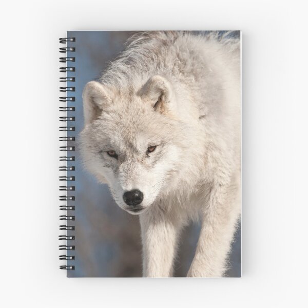 Item preview, Arctic Wolf Pup designed and sold by WolvesOnly.