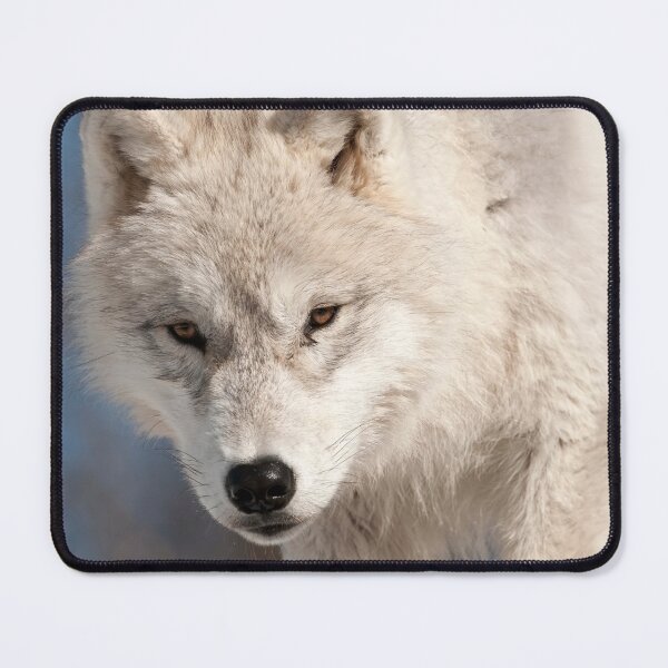 Item preview, Arctic Wolf Pup designed and sold by WolvesOnly.