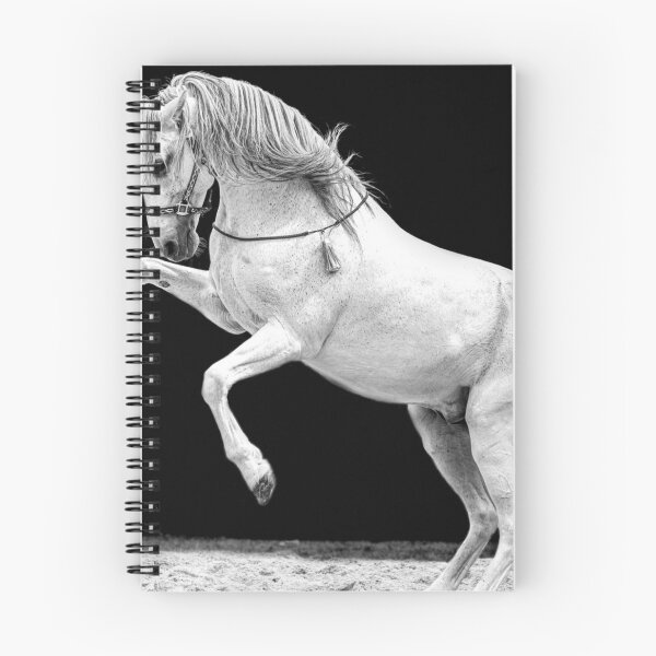 Item preview, Horse lovers designed and sold by WiseTrader.
