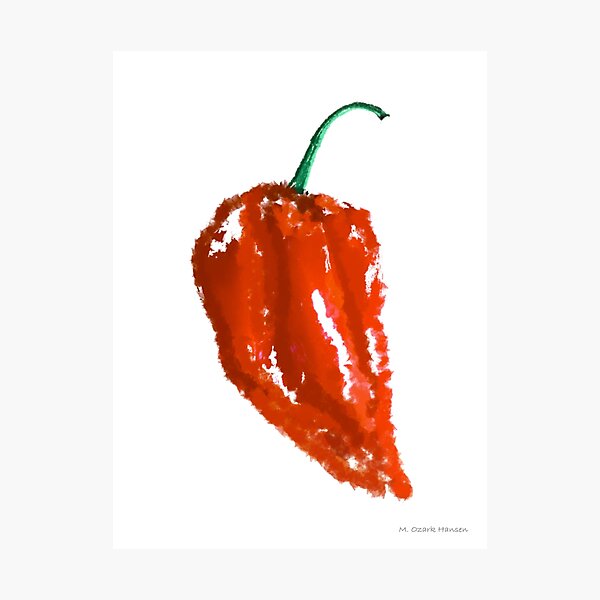 Hot n' Spicy Photographic Print