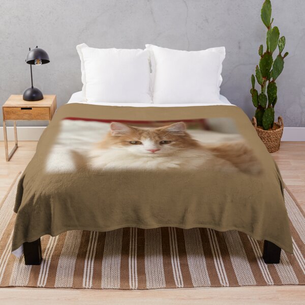 Item preview, Emery the Cat looking at You softedge designed and sold by PaulKPhoto.