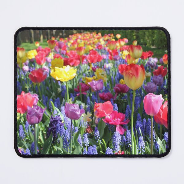 Item preview, Beautiful Spring Tulips Blooming designed and sold by newburyboutique.