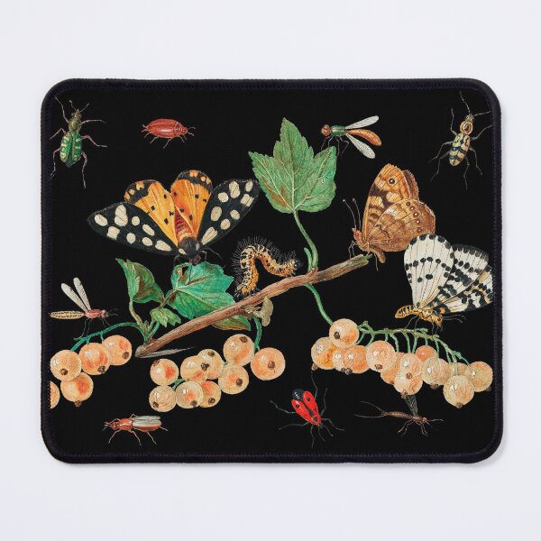 Item preview, Vintage Butterflies and Fruits Illustration designed and sold by Naturalist Prints.