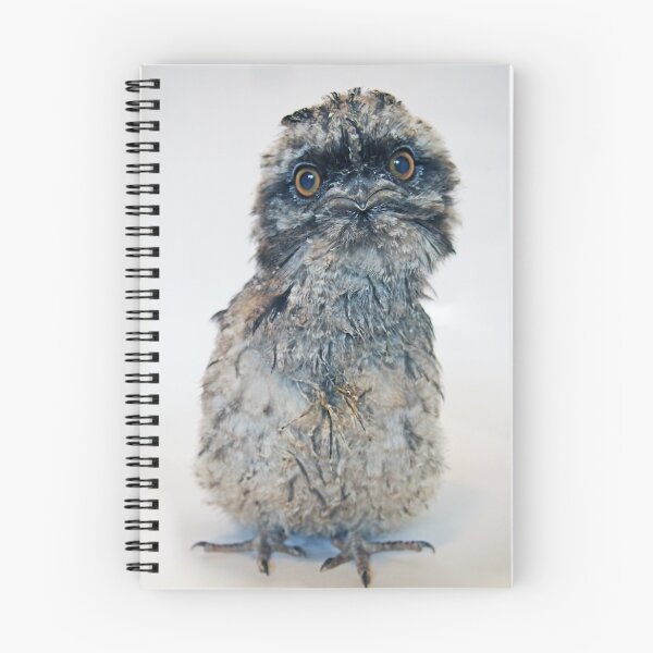 Item preview, Tawny Frogmouth (Podargus strigoides) designed and sold by Mannaandkarri.
