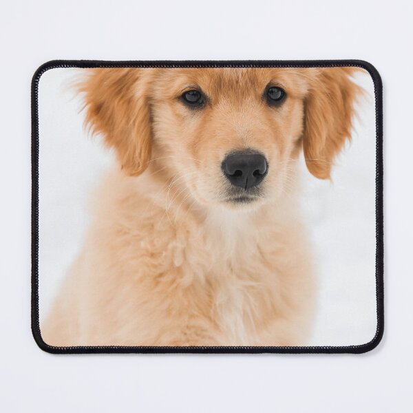 Item preview, Woof woof designed and sold by ShopeeMustHaves.