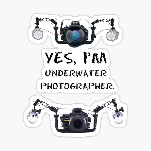 yes, I'm underwater photographer Pegatina