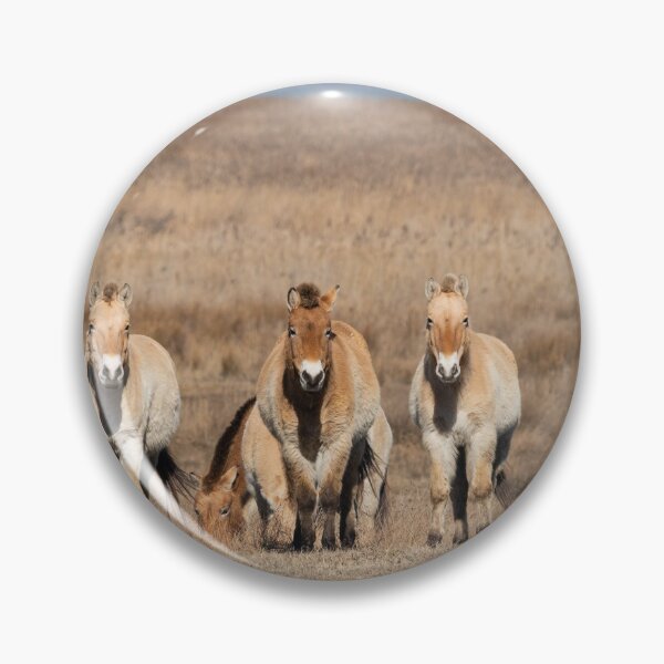 Item preview, A group of Przewalski horses designed and sold by Stefan Rotter.