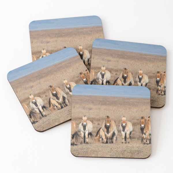 Item preview, A group of Przewalski horses designed and sold by Stefan Rotter.