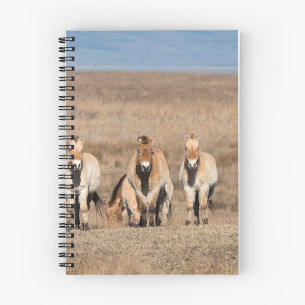 Item preview, A group of Przewalski horses designed and sold by Stefan Rotter.