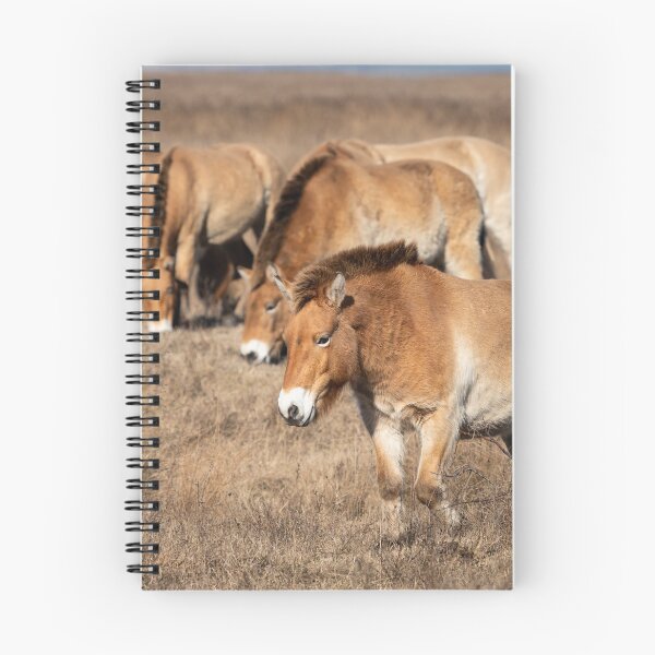 Item preview, A group of Przewalski horses designed and sold by Stefan Rotter.