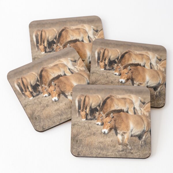 Item preview, A group of Przewalski horses designed and sold by Stefan Rotter.