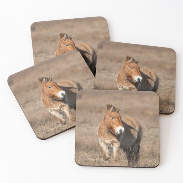 Item preview, A Przewalski horse on a meadow designed and sold by Stefan Rotter.