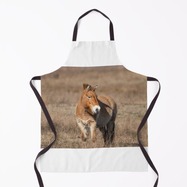 Item preview, A Przewalski horse on a meadow designed and sold by Stefan Rotter.