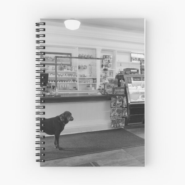 Item preview, General Store and Dog designed and sold by Claire Haviland.