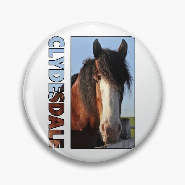 Item preview, Clydesdale Horse Wall Art designed and sold by rgbguy.