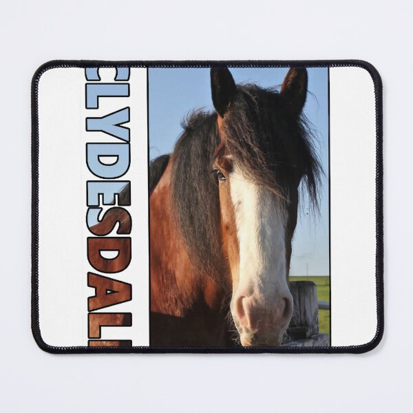 Item preview, Clydesdale Horse Wall Art designed and sold by rgbguy.