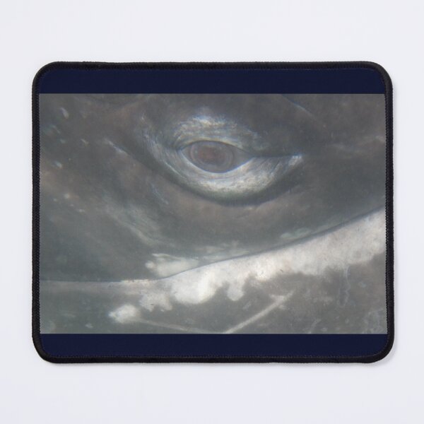 Item preview, Gray Whale Calf Eye 1 designed and sold by Whale & Dolphin Wisdom Retreats.