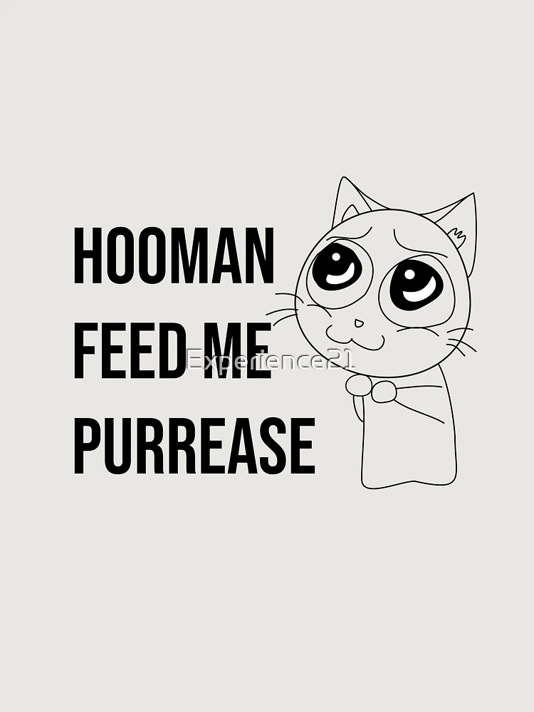 Thumbnail 6 of 6, Premium Oversized Hoodie, Hooman feed me purrease funny cat designed and sold by Experience21.