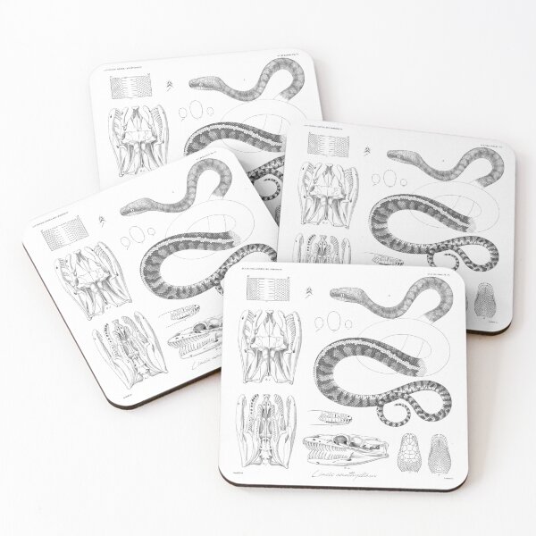 Item preview, Liasis amethystinus designed and sold by diologic.