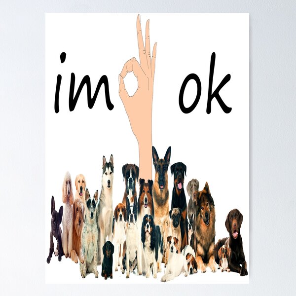 Item preview, I'm Ok Funny Dogs Lover designed and sold by boyastore.